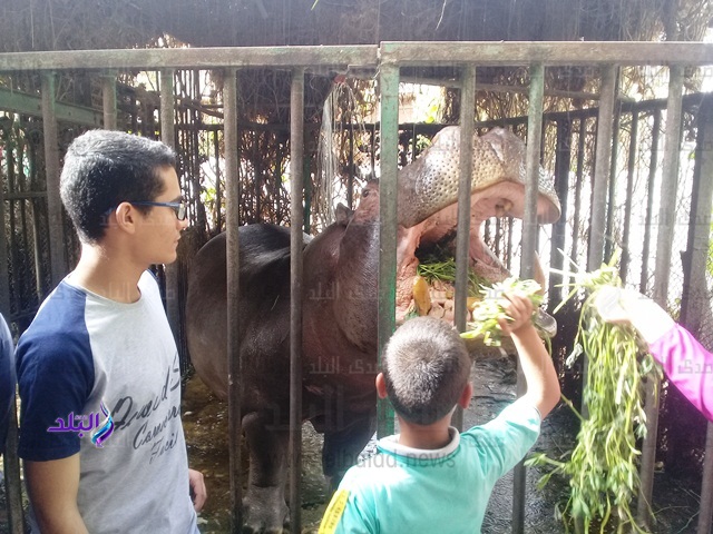 زوار حديقة الحيوان ببني سويف