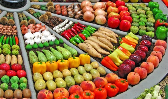 الخضراوات و الفاكهة الخضراوات و الفاكهة