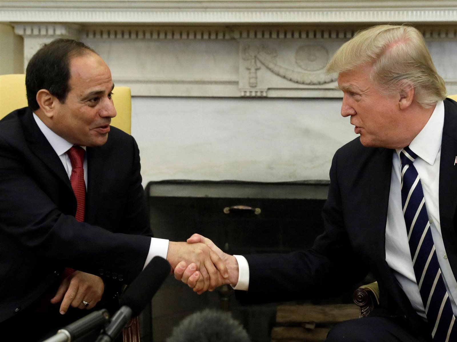دونالد ترامب والرئيس السيسي دونالد ترامب والرئيس السيسي