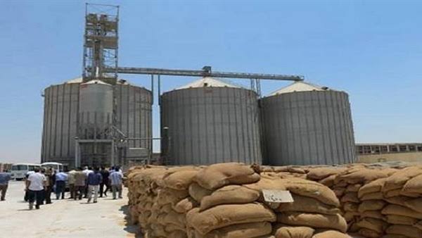 حصاد 9219 اردب قمح بالبحيرة حصاد 9219 اردب قمح بالبحيرة