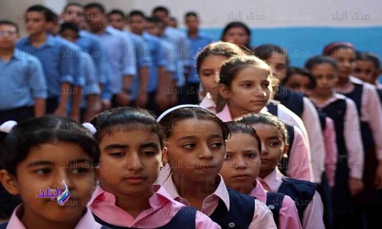 المدارس المصرية اليابانية