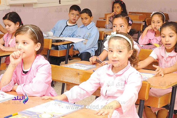 المدارس المصرية اليابانية