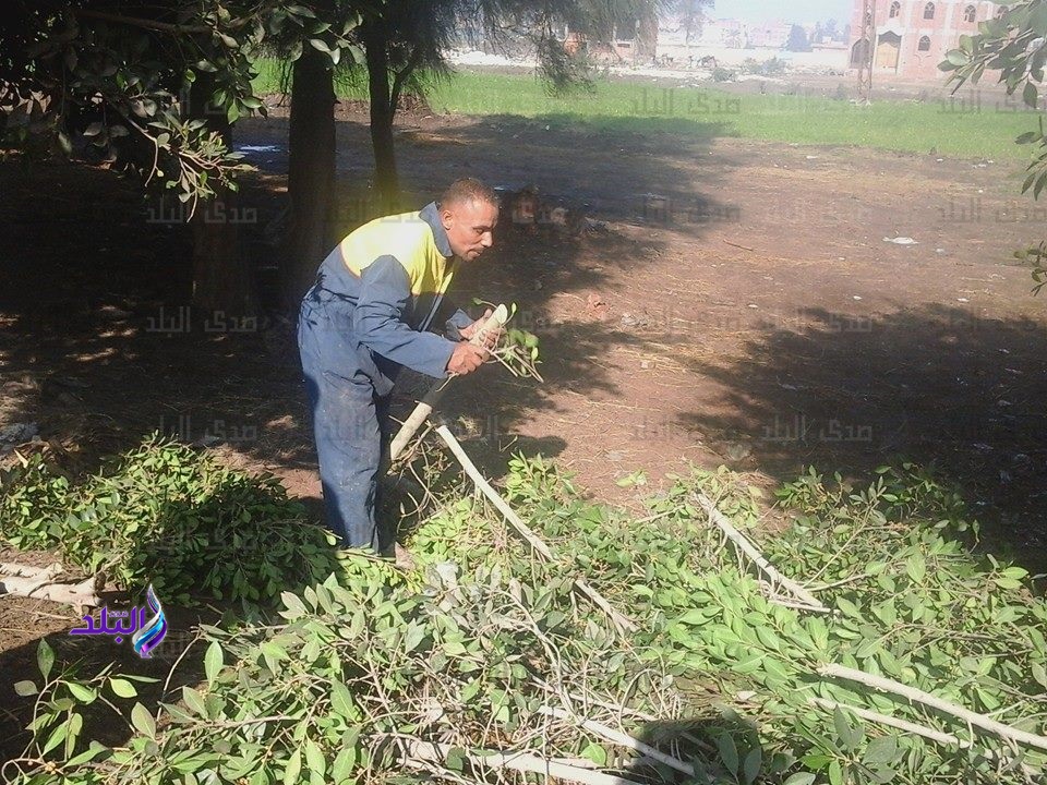 قرية شبرا بلوله قلعة صناعة العطور