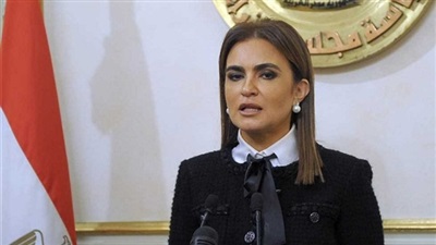 وزير الاستثمار