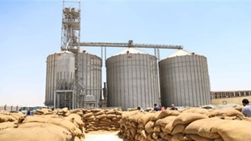 توريد 18 ألف طن و400 كيلو قمح بصوامع القليوبية توريد 18 ألف طن و400 كيلو قمح بصوامع القليوبية