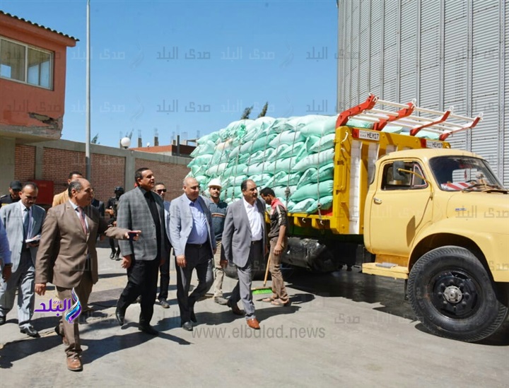 توريد القمح بمحافظة البحيرة