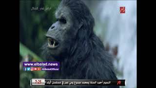 رضا عبد العال