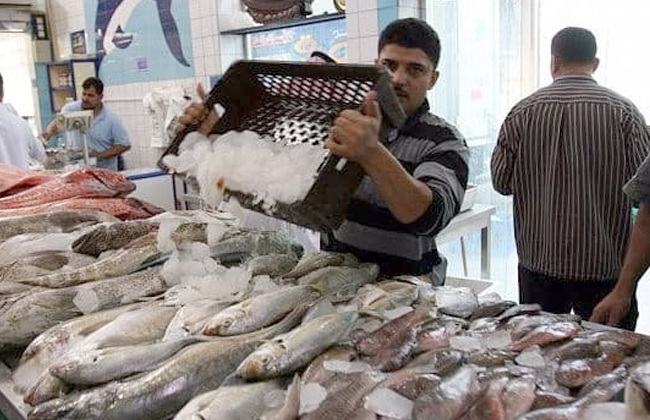 سمك فى سوق العبور سمك فى سوق العبور