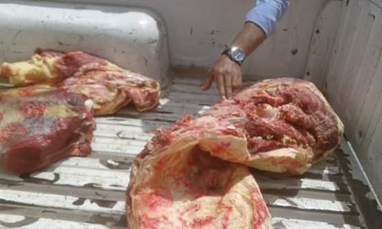 ضبط ١٣٠ كيلو لحوم غير صالحة للاستهلاك بسوهاج ضبط ١٣٠ كيلو لحوم غير صالحة للاستهلاك بسوهاج