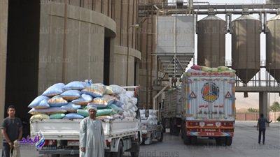 توريد 4ر91 ألف طن قمح للشون والصوامع بالوادي الجديد توريد 4ر91 ألف طن قمح للشون والصوامع بالوادي الجديد