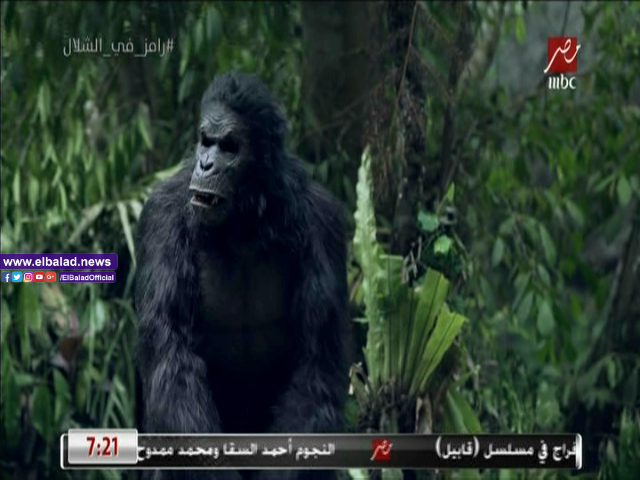  غوريلا رامز في الشلال