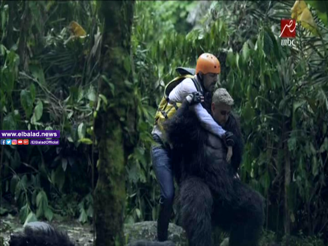 رامز جلال ووائل جسار