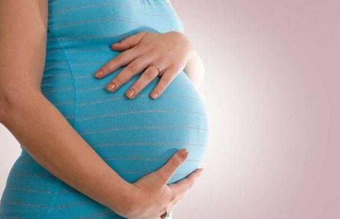دراسة: الأكل والتوتر يؤثران على الوظيفة الإنجابية 