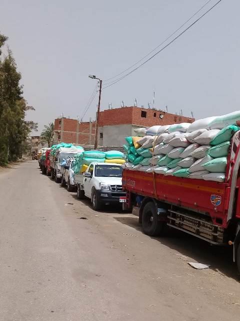 توريد ٢٩٨ ألف طن قمح لصوامع وشون الشرقية