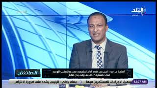 اسامة عرابي