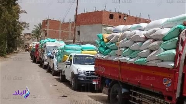توريد قمح توريد قمح