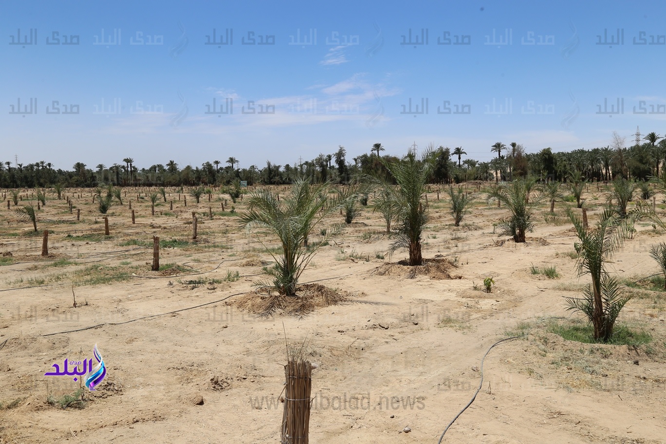 محافظ قنا : نسعى لتوفير السلع بطريقة آمنه وبأسعار مناسبة