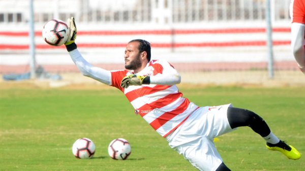 عماد السيد