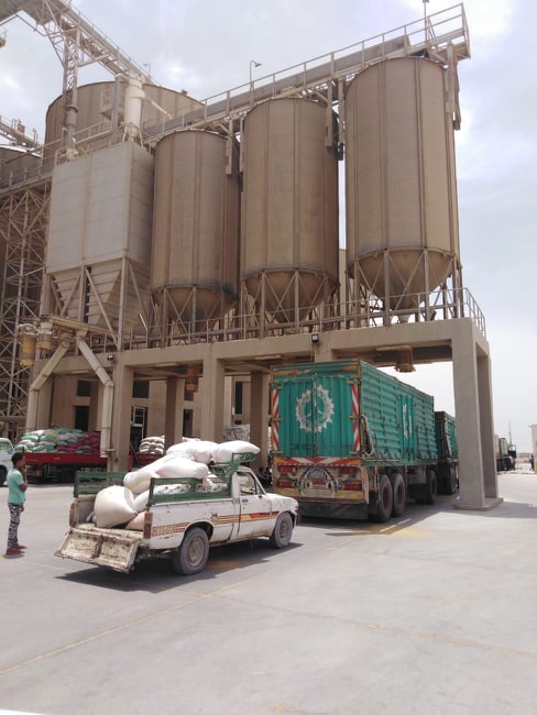 توريد 42 ألف طن قمح لأفرع البنك الزراعي المصرى والصوامع 