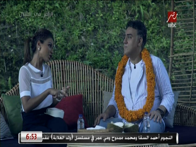 تامر حبيب