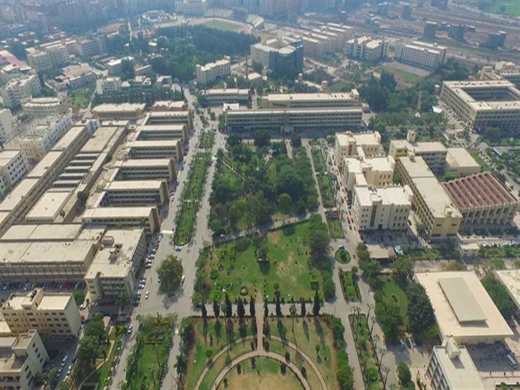 جامعة المنصورة جامعة المنصورة