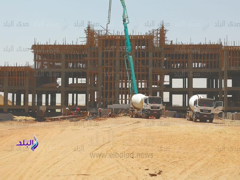 جامعة القاهرة الدولية