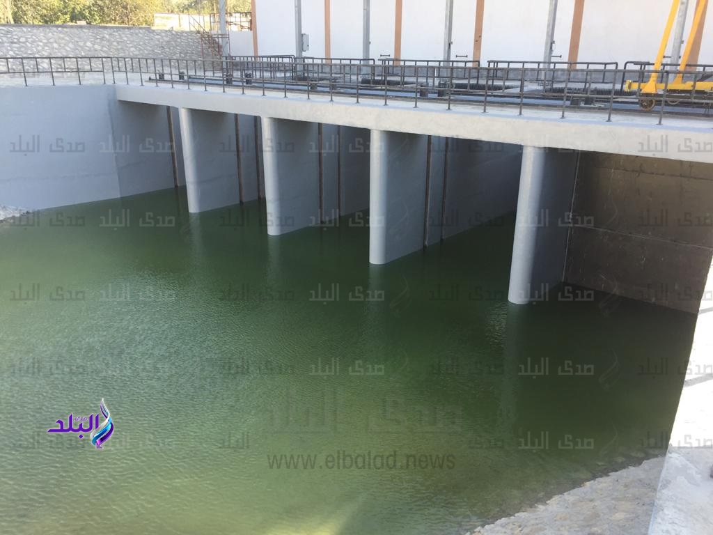 سحارة سرابيوم 