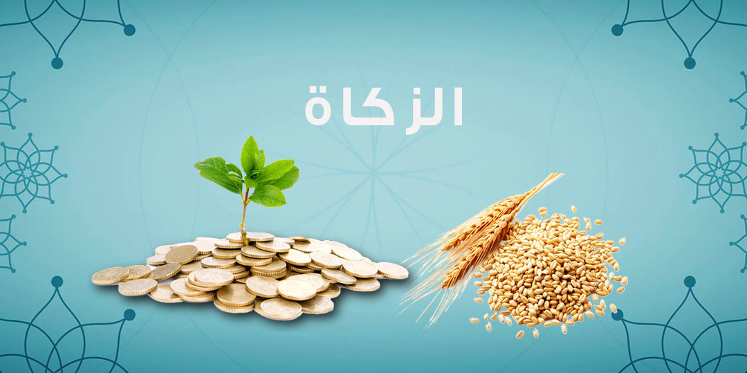 زكاة الفطر زكاة الفطر