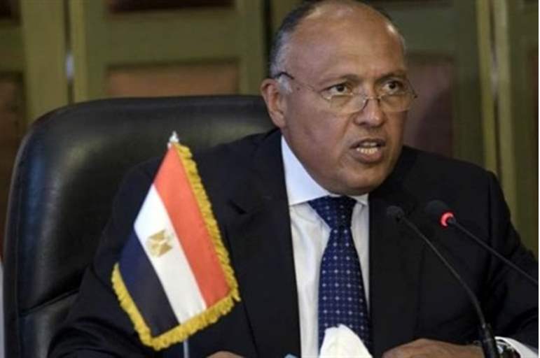 سامح شكرى وزير الخارجية