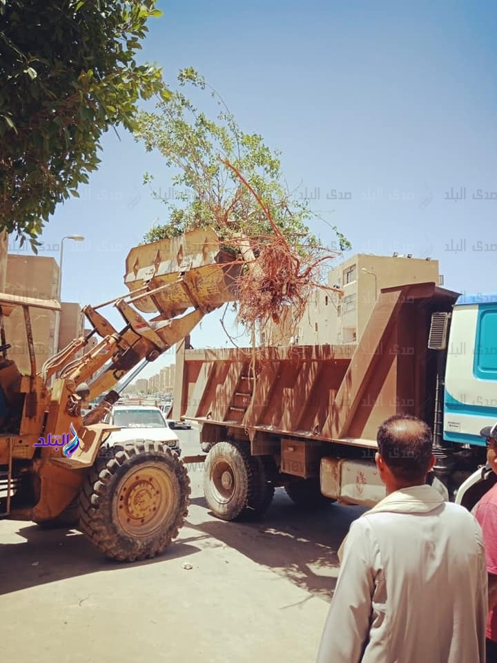 حملة مكبرة لإزالة المخالفات بالقاهرة الجديدة حملة مكبرة لإزالة المخالفات بالقاهرة الجديدة