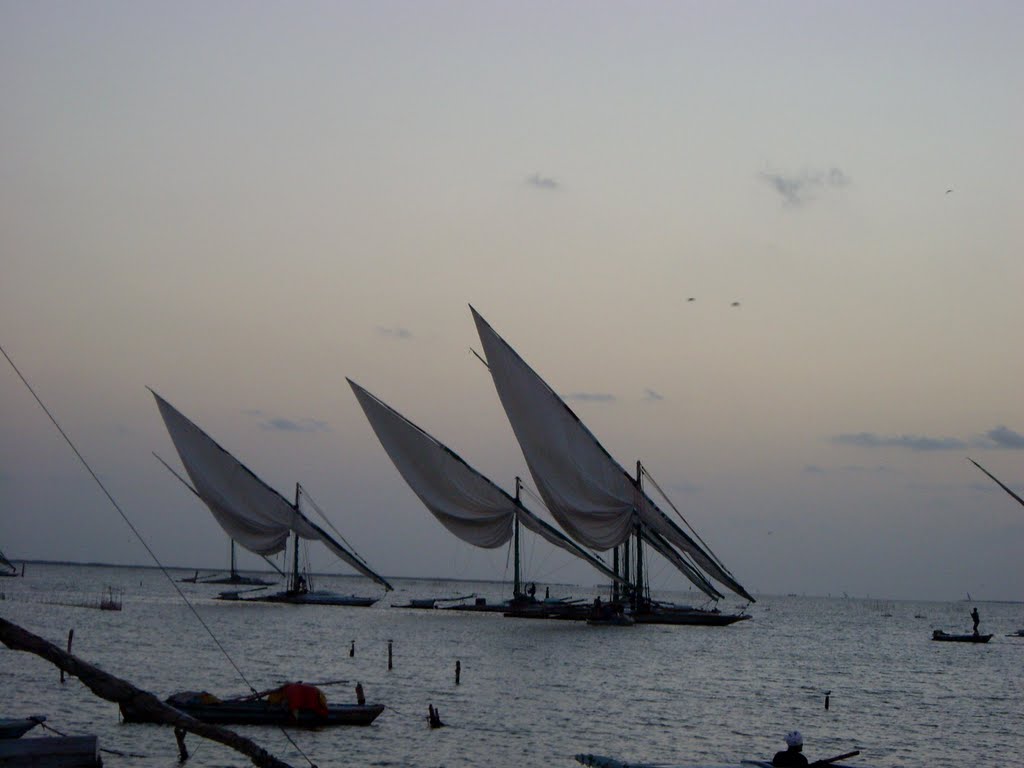 بحيرة البرلس