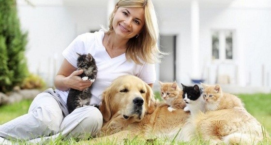 تربية الحيوانات