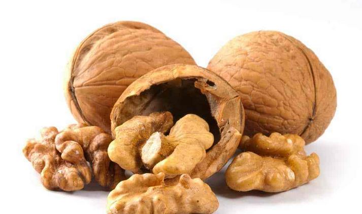لا ترمى قشر عين الجمل.. فوائده ستدهشك لا ترمى قشر عين الجمل.. فوائده ستدهشك