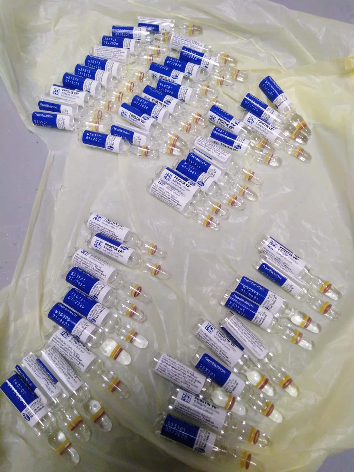 صورة من الضبطية