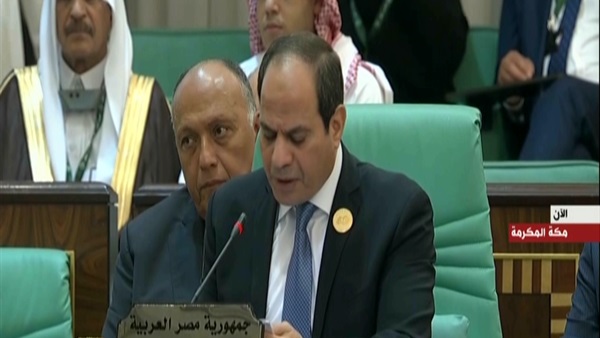 الرئيس السيسي الرئيس السيسي