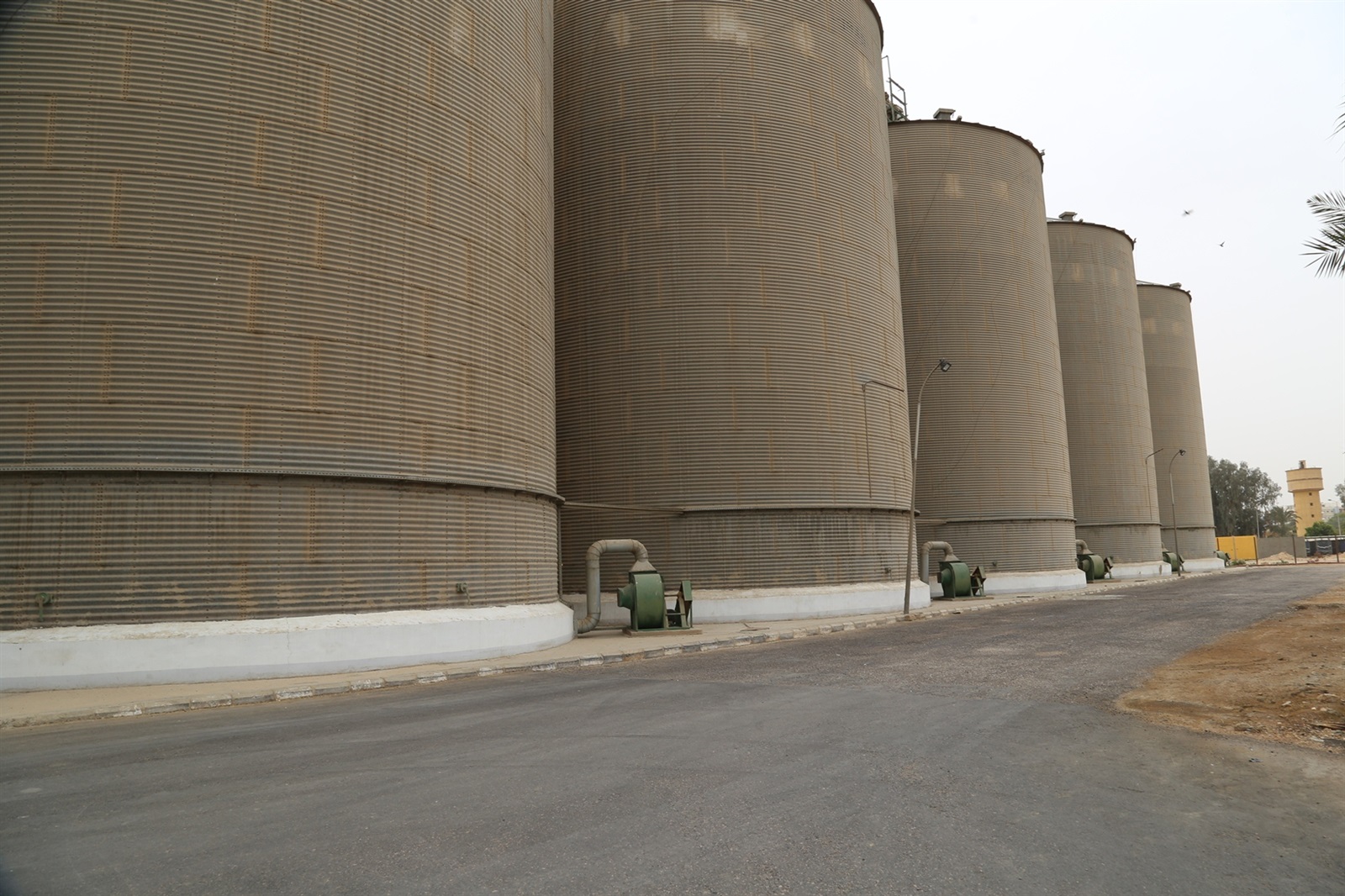 توريد 154 ألف طن قمح لصوامع قنا