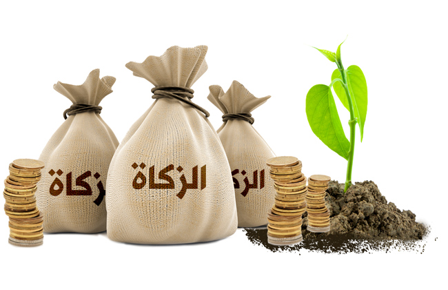 الزكاة الزكاة