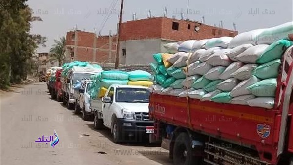 توريد القمح توريد القمح