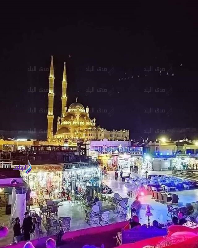 فنادق شرم الشيخ فنادق شرم الشيخ