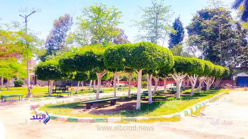 المنصورة تتزين وتتجمل لاستقبال عيد الفطر المبارك