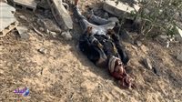 الحادث الإرهابي بالعريش الحادث الإرهابي بالعريش