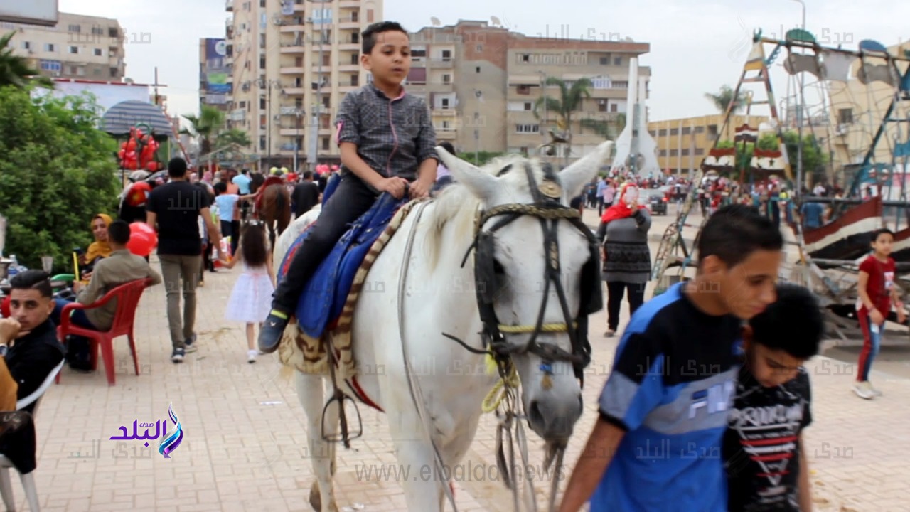 ركوب الخيل ركوب الخيل