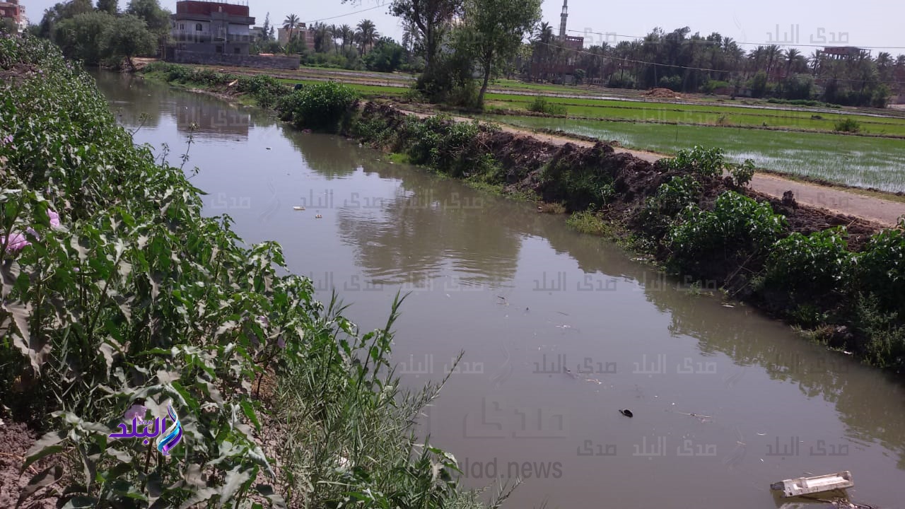 مشروعات الري