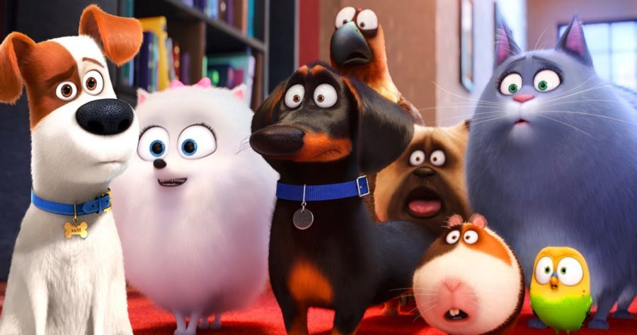 The secret of life pets 2