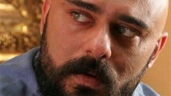 الفنان أحمد صلاح حسني