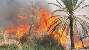 صور أرشيفية - حريق 