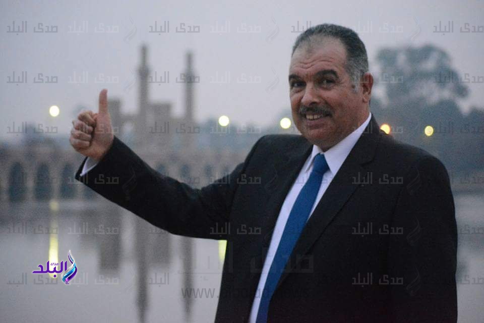 النائب عادل عامر