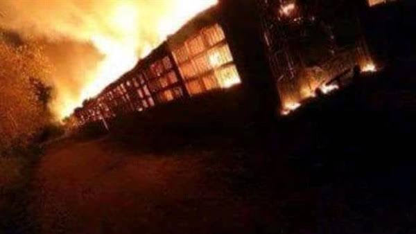 بسبب ماس كهربائي.. حريق في مزرعة دواجن بمنية النصر