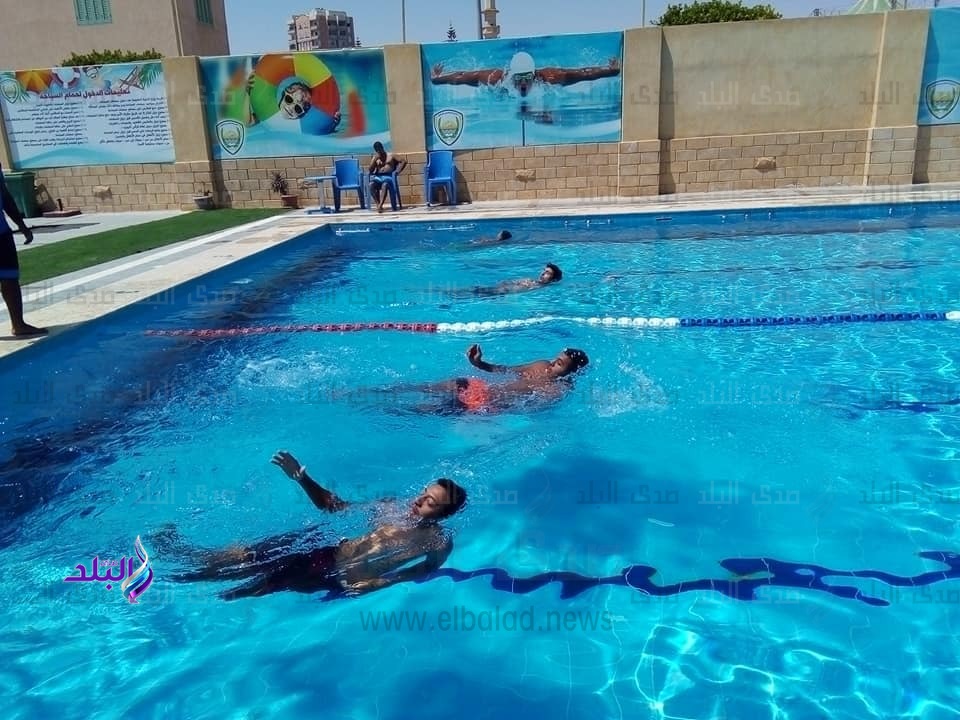 دورة تدريبية في الغوص دورة تدريبية في الغوص