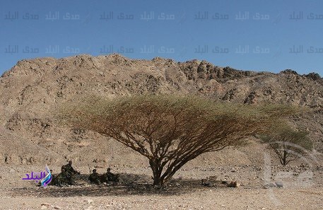 منطقة المغارة بوسط سيناء